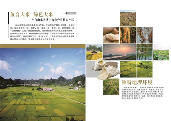 鱼台绿色大米 鱼台绿色大米